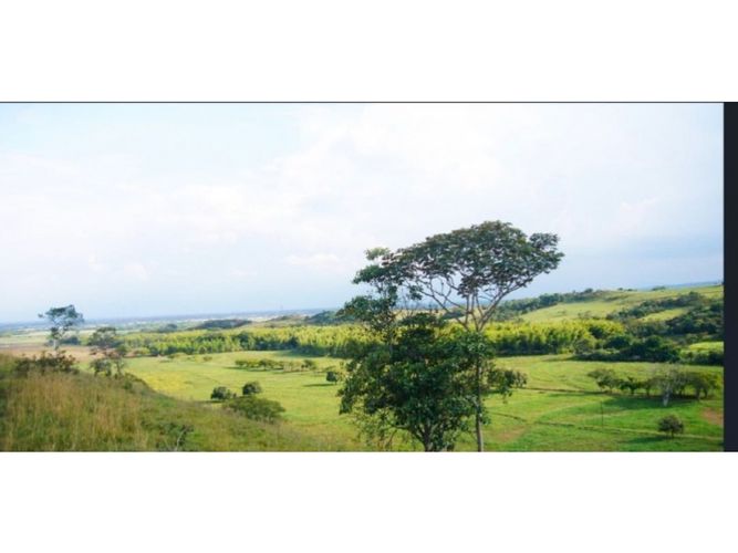 Lote en venta en Pance, Cali, 9000 m² · foto 3 de 4