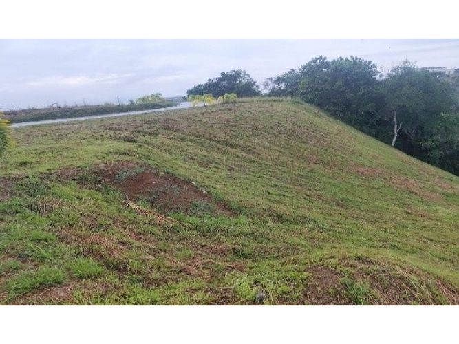 Lote en venta en Cerritos, Pereira, 2327 m² · foto 4 de 11
