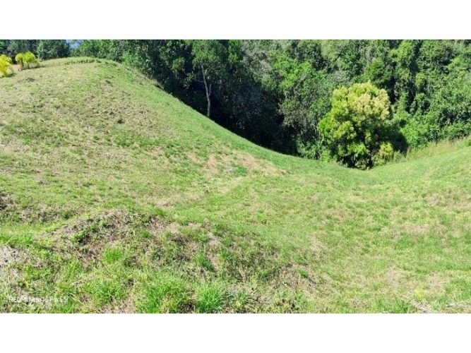Lote en venta en Cerritos, Pereira, 2327 m² · foto 5 de 11