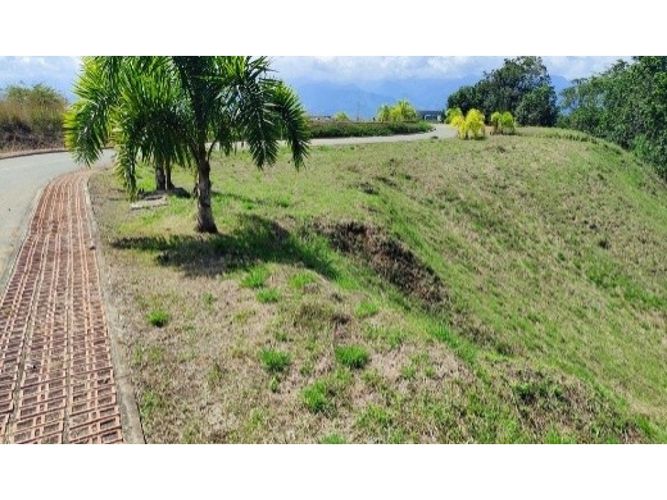 Lote en venta en Cerritos, Pereira, 2327 m² · foto 6 de 11
