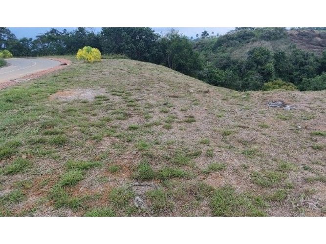 Lote en venta en Cerritos, Pereira, 2327 m² · foto 8 de 11