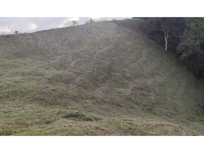 Lote en venta en Cerritos, Pereira, 2327 m² · foto 9 de 11