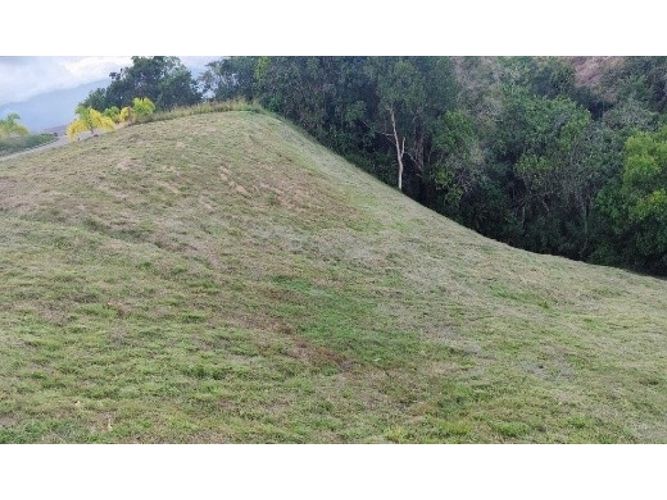 Lote en venta en Cerritos, Pereira, 2327 m² · foto 10 de 11
