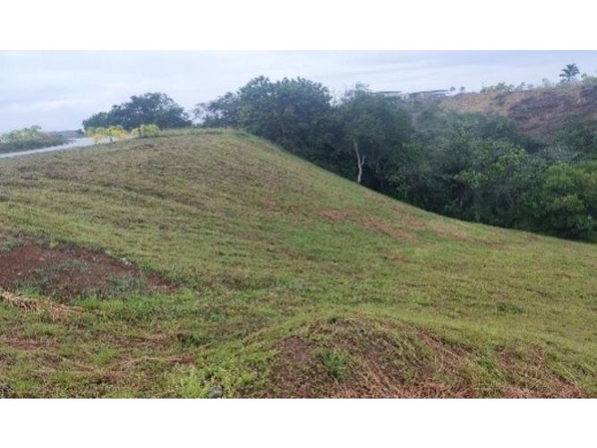 Lote en venta en Cerritos, Pereira, 2327 m² · foto 11 de 11