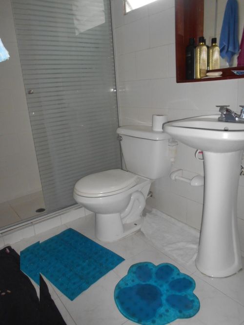 Casa de 12 alcobas en venta en La Ceiba, Cúcuta, 346 m² · foto 11 de 15