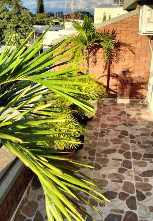 Apartamento de 4 alcobas en venta en Ciudad Cordoba, Cali, 190 m² · foto 11 de 11
