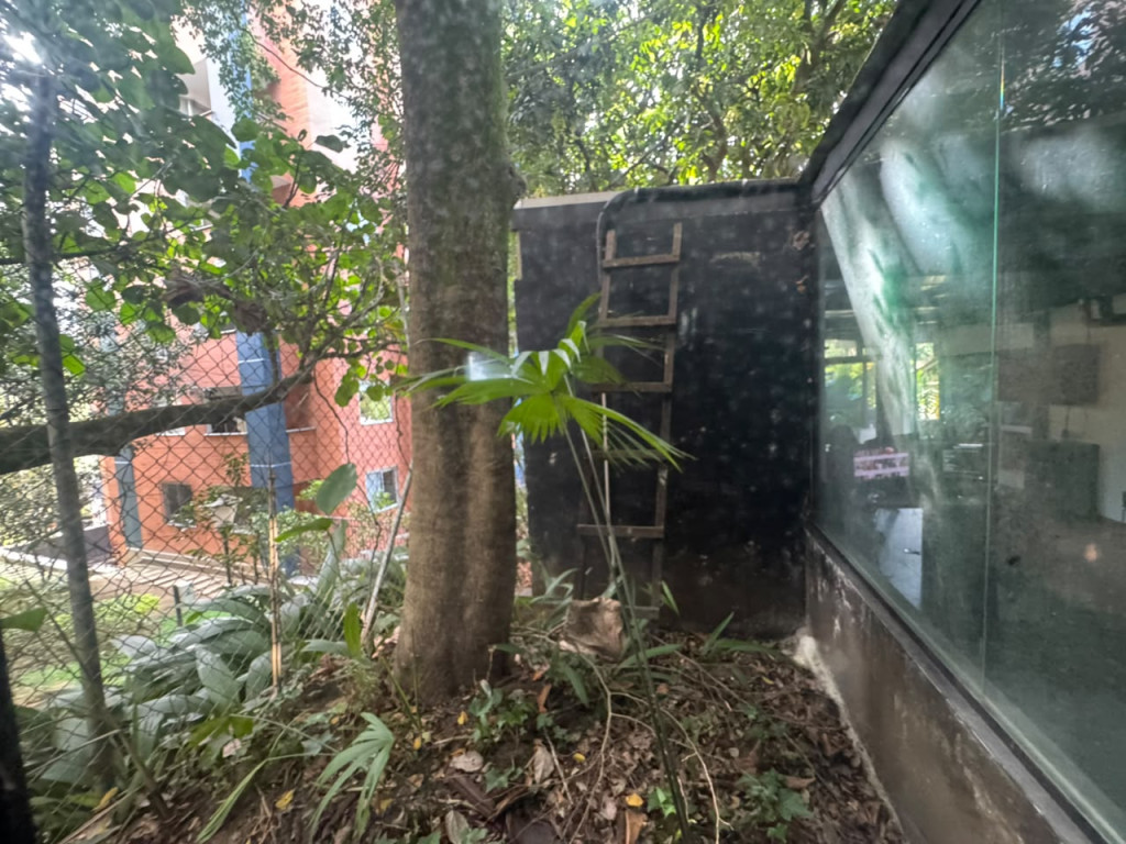 Casa en arriendo en San Lucas, Medellín · foto 2 de 18