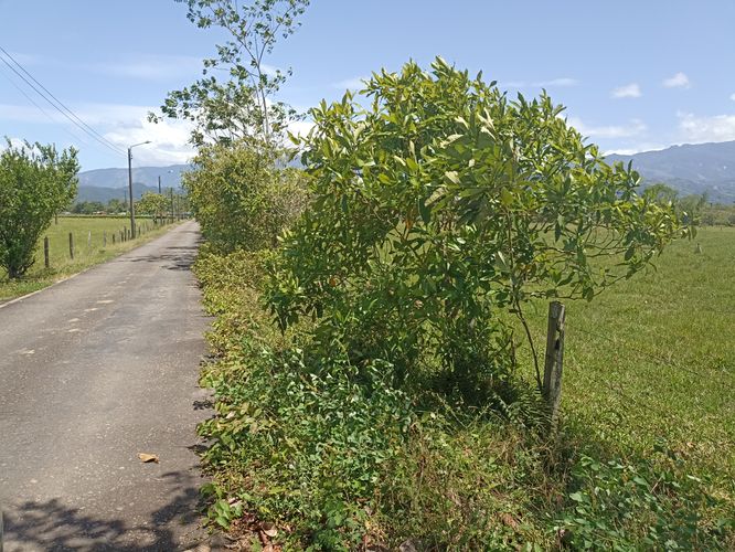 Finca en venta en La Poyata, Villavicencio, 75000 m² · foto 6 de 6