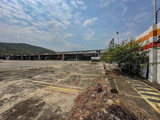 Lote en venta en La Cordialidad, Los Patios, 11256 m² · foto 8 de 12