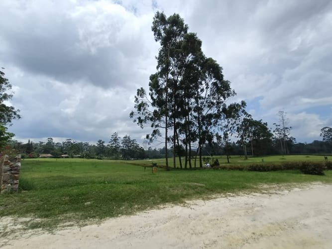 Lote en venta en Mesa De Los Santos, Piedecuesta, 1250 m² · foto 4 de 13