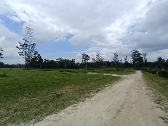 Lote en venta en Mesa De Los Santos, Piedecuesta, 1250 m² · foto 5 de 13