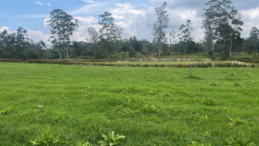Lote en venta en Mesa De Los Santos, Piedecuesta, 1250 m² · foto 6 de 13