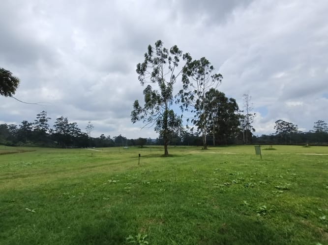 Lote en venta en Mesa De Los Santos, Piedecuesta, 1250 m² · foto 7 de 13