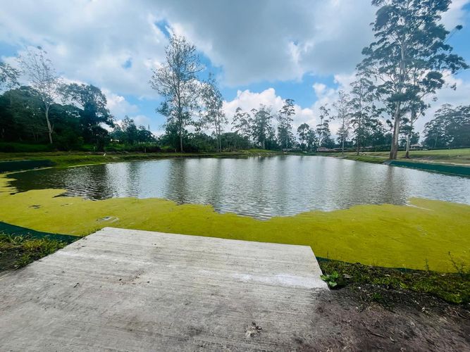 Lote en venta en Mesa De Los Santos, Piedecuesta, 1250 m² · foto 10 de 13