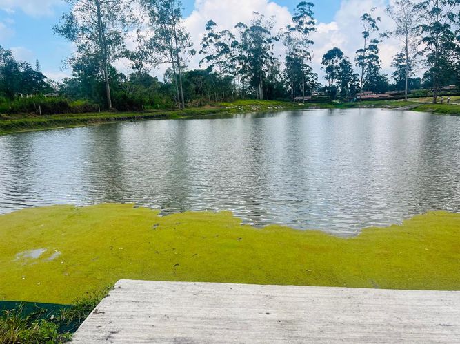 Lote en venta en Mesa De Los Santos, Piedecuesta, 1250 m² · foto 13 de 13