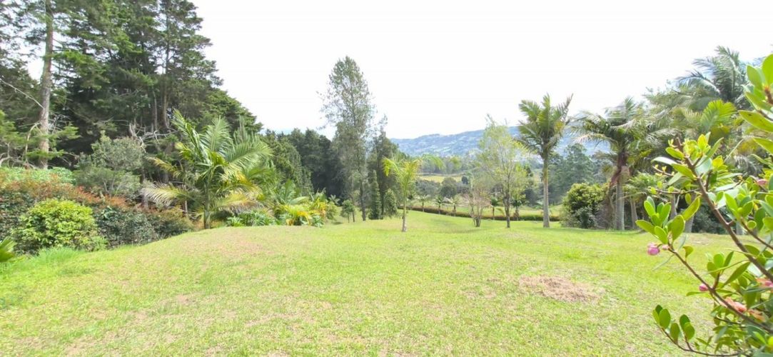 Lote en venta en San Jose, Guarne, 8977 m² · foto 4 de 9