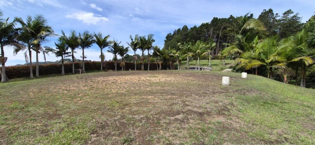 Lote en venta en San Jose, Guarne, 8977 m² · foto 7 de 9