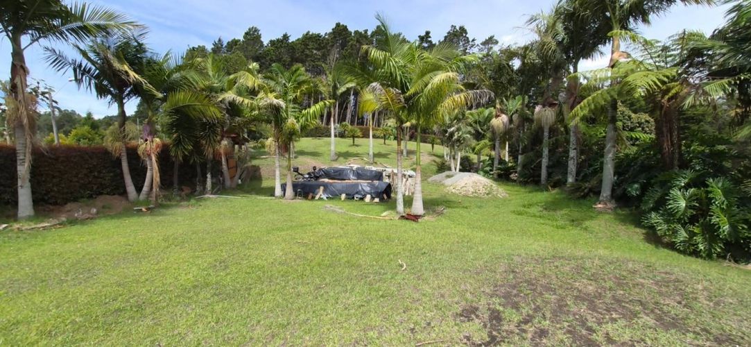 Lote en venta en San Jose, Guarne, 8977 m² · foto 8 de 9