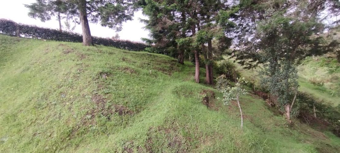 Lote en venta en San Jose, Guarne, 5492 m² · foto 5 de 20