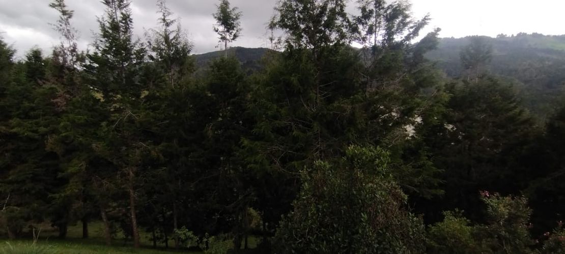 Lote en venta en San Jose, Guarne, 5492 m² · foto 9 de 20