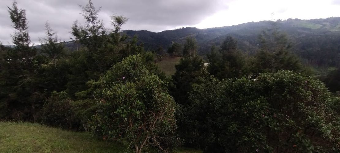 Lote en venta en San Jose, Guarne, 5492 m² · foto 13 de 20