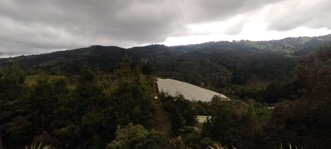 Lote en venta en San Jose, Guarne, 5492 m² · foto 14 de 20