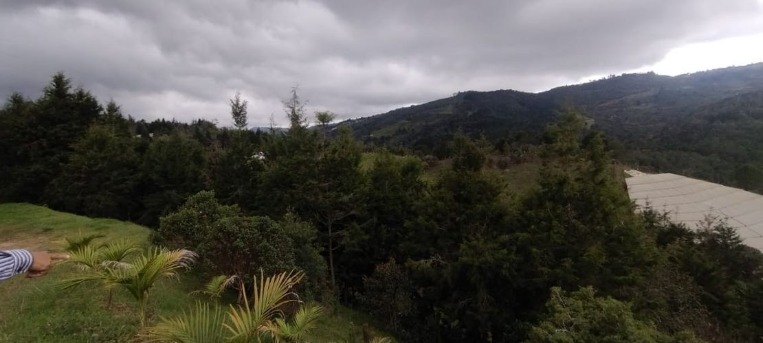 Lote en venta en San Jose, Guarne, 5492 m² · foto 15 de 20
