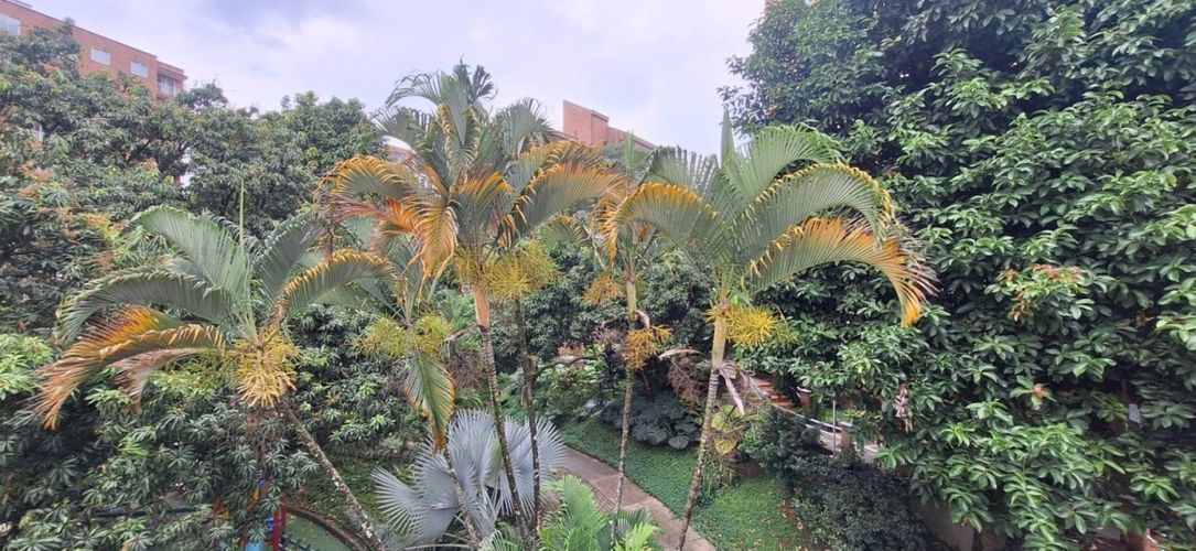 Casa de 3 alcobas en venta en La Frontera, Envigado, 230 m² · foto 21 de 24