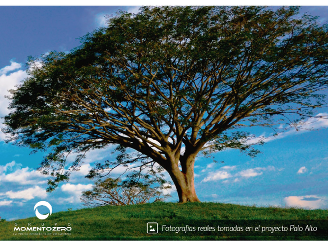 Lote en venta en Cerritos, Pereira, 10046 m² · foto 2 de 11