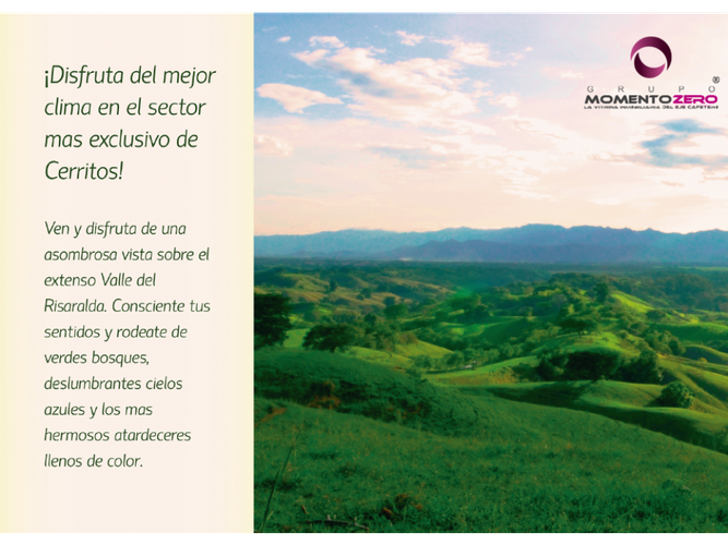 Lote en venta en Cerritos, Pereira, 10046 m² · foto 3 de 11
