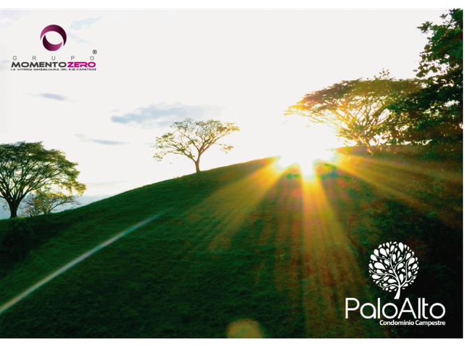 Lote en venta en Cerritos, Pereira, 10046 m² · foto 9 de 11