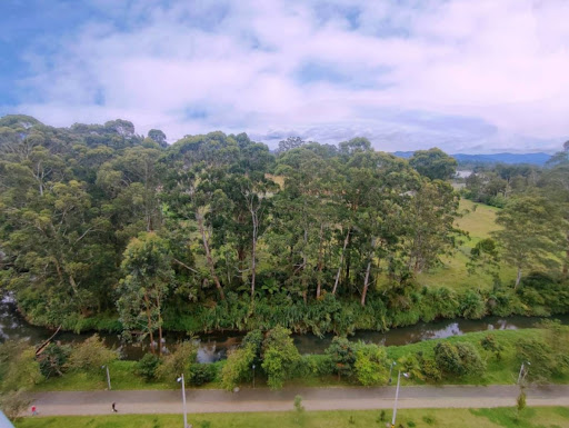 Apartamento en arriendo en Santa Ana, Rionegro · foto 19 de 20