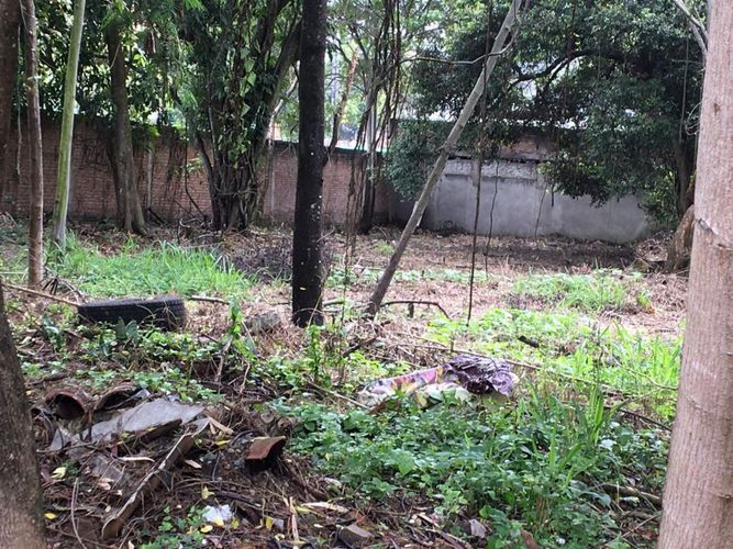 Lote en arriendo en Pance, Cali, 1600 m² · foto 6 de 11