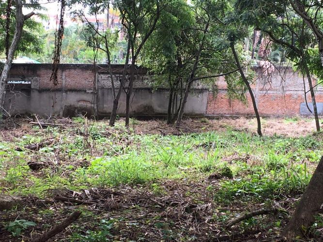 Lote en arriendo en Pance, Cali, 1600 m² · foto 7 de 11