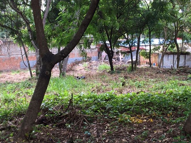 Lote en arriendo en Pance, Cali, 1600 m² · foto 8 de 11