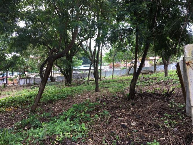 Lote en arriendo en Pance, Cali, 1600 m² · foto 9 de 11