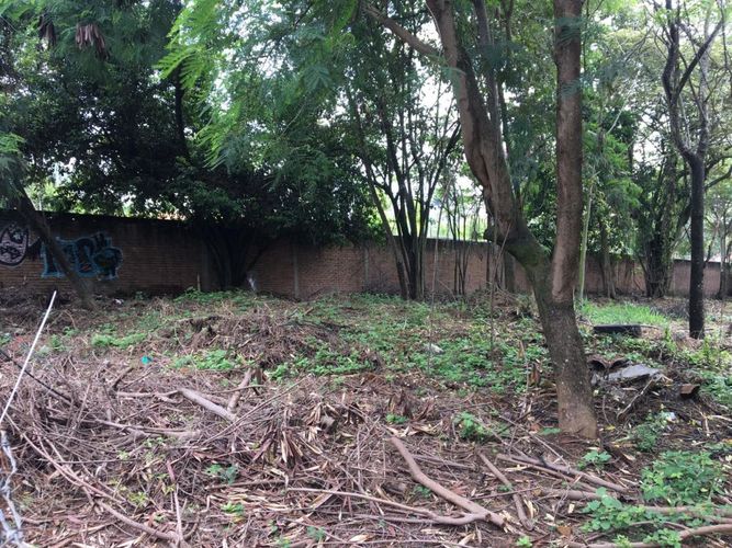 Lote en arriendo en Pance, Cali, 1600 m² · foto 10 de 11
