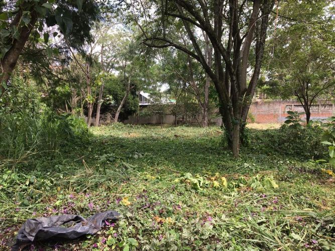 Lote en arriendo en Pance, Cali, 1600 m² · foto 11 de 11