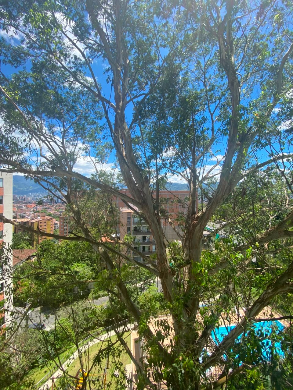 Apartamento en Arriendo en Cumbres, Envigado
