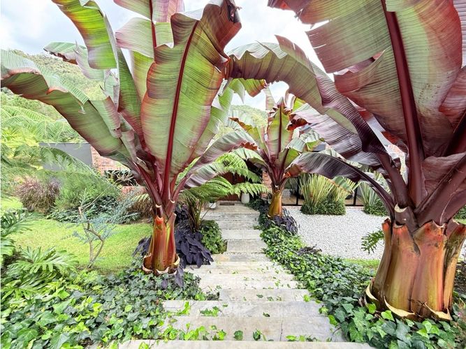 Finca en venta en El Tambo, La Ceja, 197 m² · foto 24 de 24