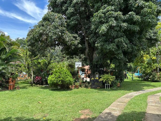 Lote en venta en Ruitoque Bajo, Floridablanca, 9800 m² · foto 9 de 16