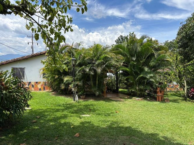 Lote en venta en Ruitoque Bajo, Floridablanca, 9800 m² · foto 14 de 16