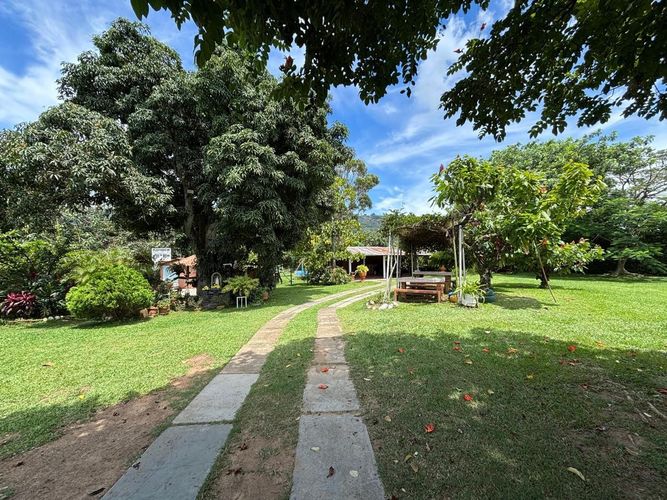 Lote en venta en Ruitoque Bajo, Floridablanca, 9800 m² · foto 15 de 16