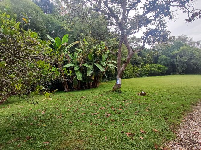 Finca en arriendo en Llano Grande, Rionegro, 300 m² · foto 5 de 24