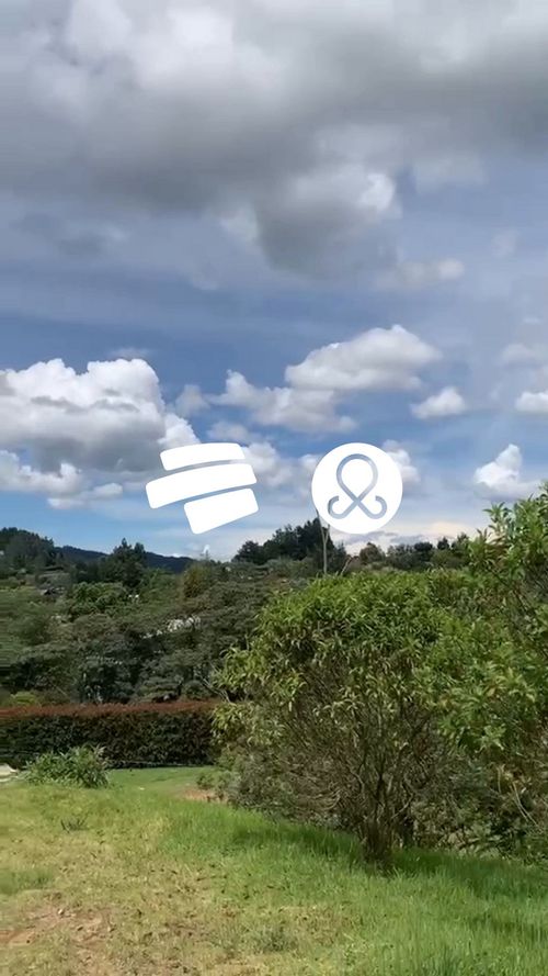 Lote en venta en Loma Del Chocho, Envigado, 5000 m² · foto 7 de 9
