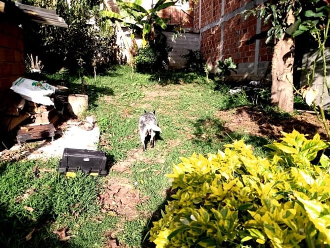 Lote en venta en Guarne, 299 m² · foto 13 de 14