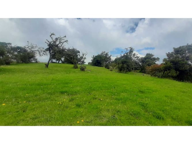 Lote en venta en Conjunto Casa De Campo, La Calera, 2568 m² · foto 8 de 24
