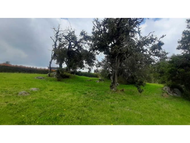 Lote en venta en Conjunto Casa De Campo, La Calera, 2568 m² · foto 9 de 24