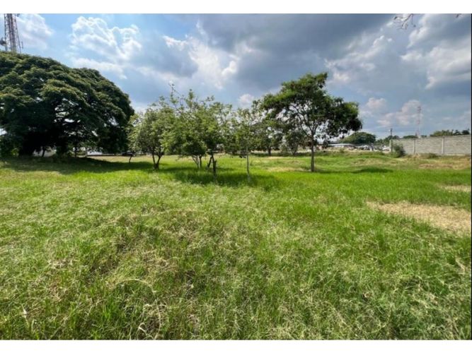Lote en venta en Obando, Cali, 15000 m² · foto 3 de 12