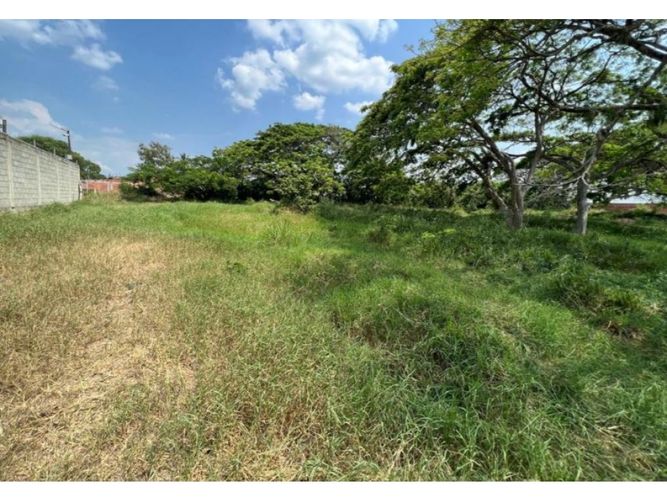 Lote en venta en Obando, Cali, 15000 m² · foto 4 de 12